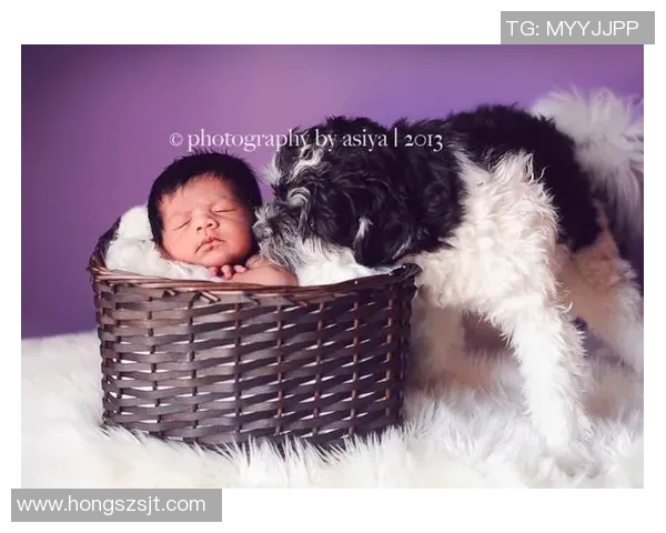 足球明星们的宠物生活揭秘：他们与爱犬爱猫的温馨时光