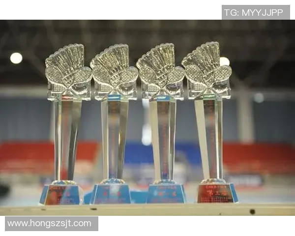 南京羽毛球队精英赛个人能力分析与表现评估