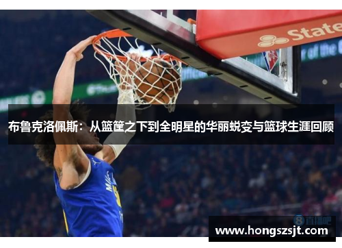 布鲁克洛佩斯：从篮筐之下到全明星的华丽蜕变与篮球生涯回顾